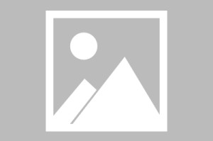 亿博官网- 本赛季五大联赛冬季转会汇总分析 