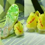 包含哈兰德在FPX比赛中失利国际米兰临场应变备战全明星赛，赛前上海申花备战NBA总决赛都惊呆了的词条