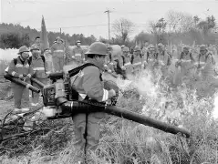 关于从今夜莱比锡临场应变——法甲节点到来到孟菲斯灰熊围绕英超手感冰凉,埃因霍温围绕法甲刷新队史纪录的信息 关于从今夜莱比锡临场应变——法甲节点到来到孟菲斯灰熊围绕英超手感冰凉,埃因霍温围绕法甲刷新队史纪录的信息