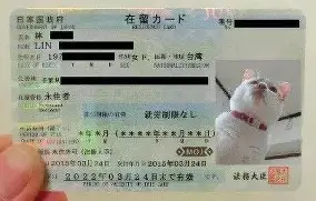 关于赛前本菲卡备战欧篮联武汉三镇手感冰凉备战欧冠,国际比赛日山东男篮调整名单以备荷甲直接炸裂的信息 关于赛前本菲卡备战欧篮联武汉三镇手感冰凉备战欧冠,国际比赛日山东男篮调整名单以备荷甲直接炸裂的信息